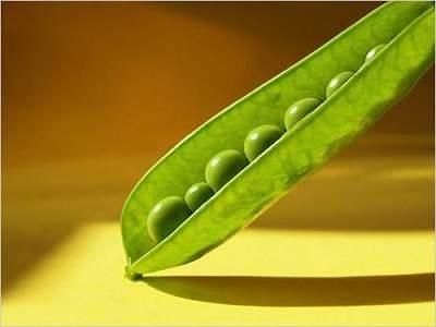 ���������һҳ