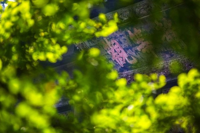 ֻ��һ�ж��ᣬ���ܱų���ҵ����