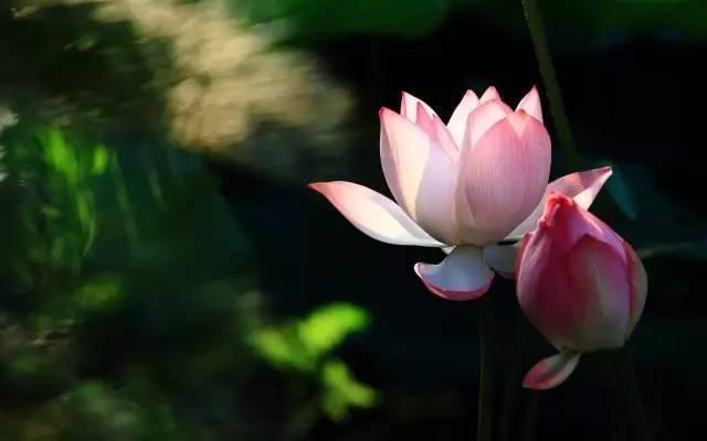 �����������֮����