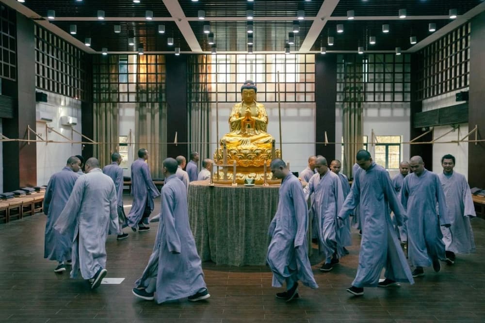 ����Ҫ������������