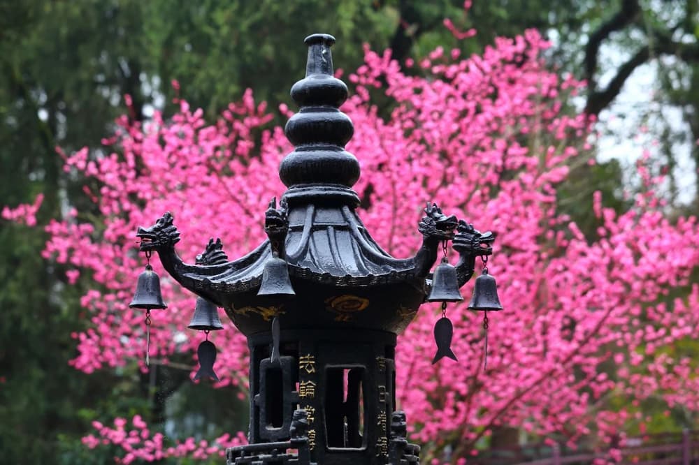 ��ɮ�����ܰ˹�ի�䣬�õ��������ֱ�