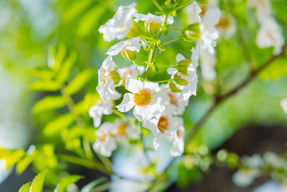 Ϊʲô����������ͨ