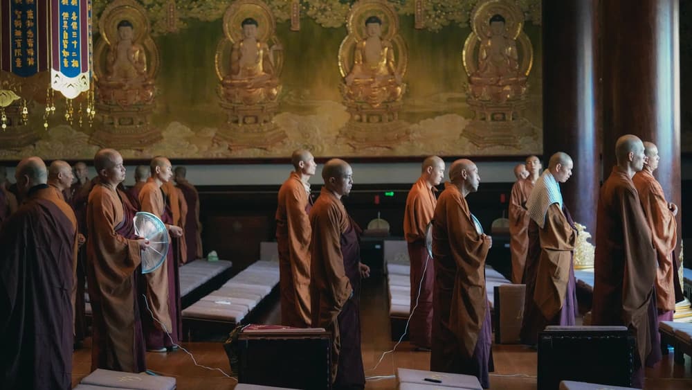 ��������ˣ�Ϊʲô��Ҫ�ܿ౨