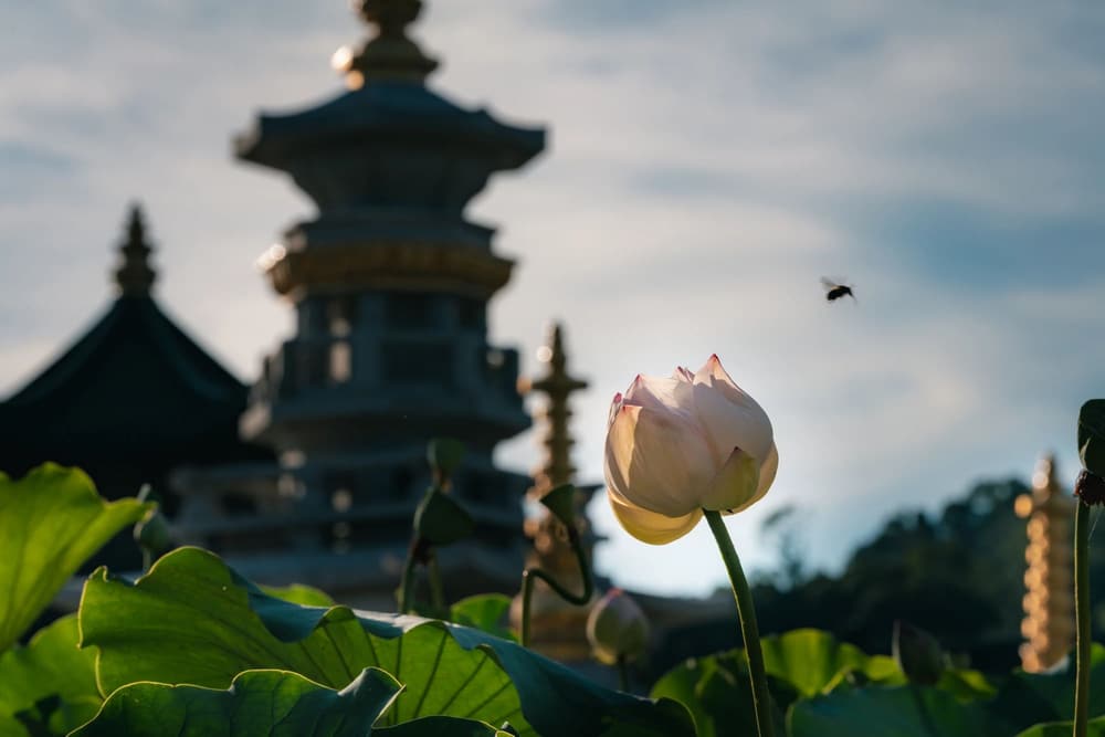 �ӱ�����ʼ��������Բ������֤�ε�