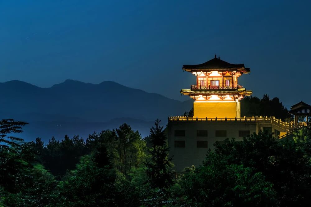 ���������٣��ŷ�������