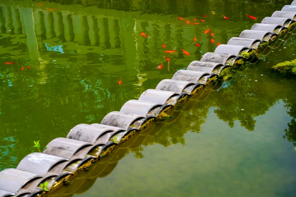 ���Ϻ��е���������