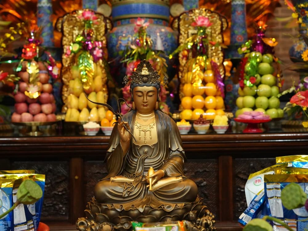 ������ȫ���£��������������������������