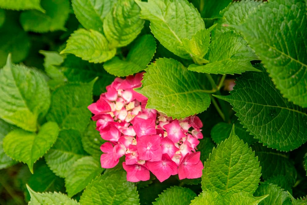 ��ʥͬ�����������ܸе���������