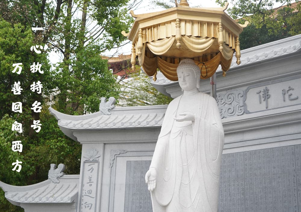 �����еľ���ʵ���������籾�Ե��о����