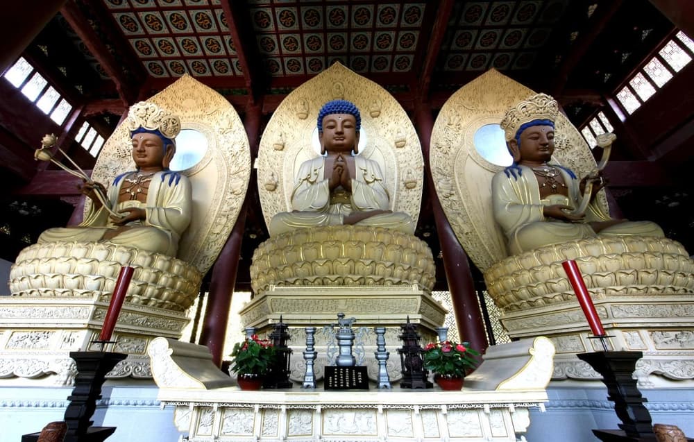 ���������Ʃ������