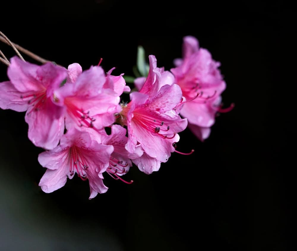 �ڼ�Ů��Ӧ����ô�޳��ù�