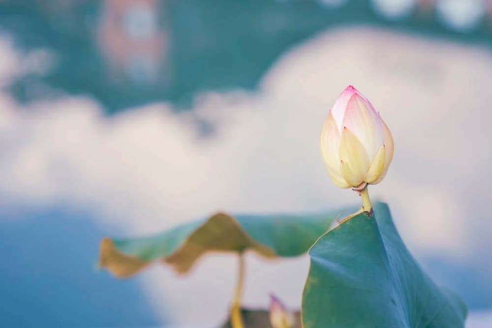 ��������ģ�����