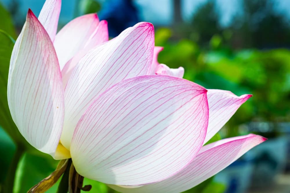 ��Ҫ�ɾͰ������ţ���Ҫ��������