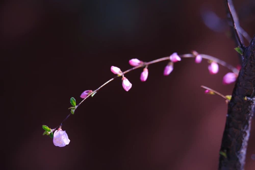 �������⡸���ء�Ҫ��