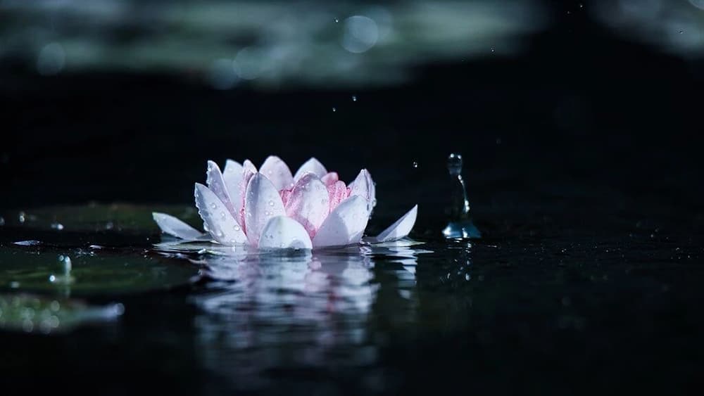 ѧ��Ҫ������������ĵ��¹���