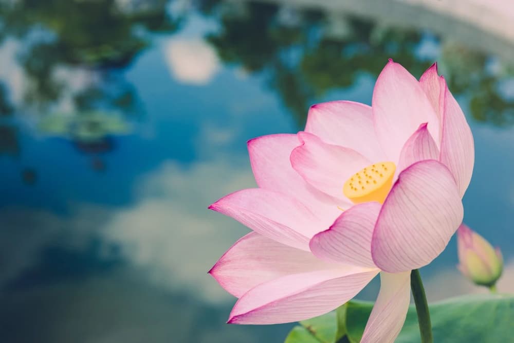 ����������������