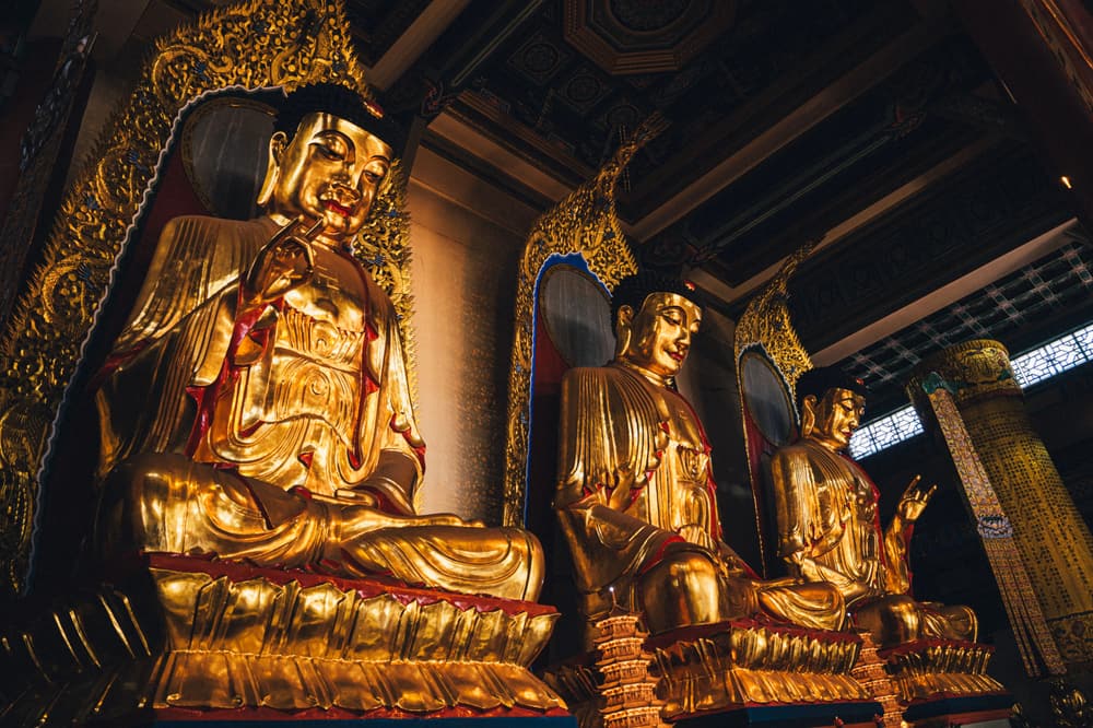 ����Үʶ���ӵĲ�ʧ����ɲ������Ĺ�ϵ