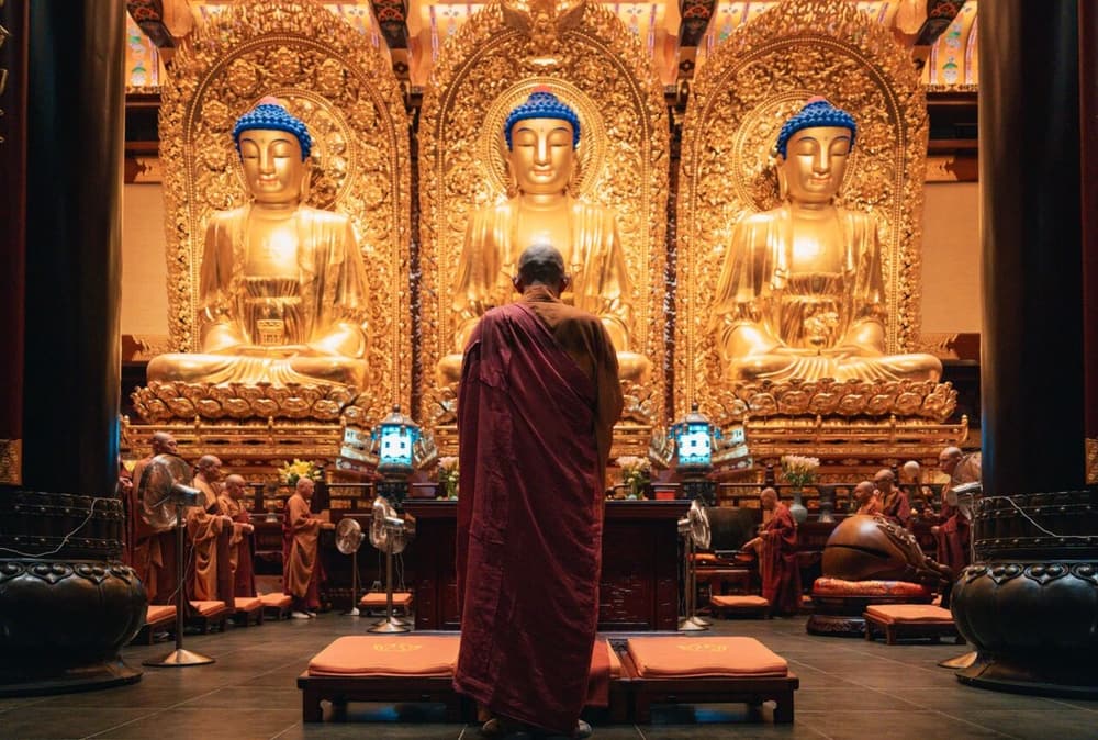 ������˵������������ϣ���������