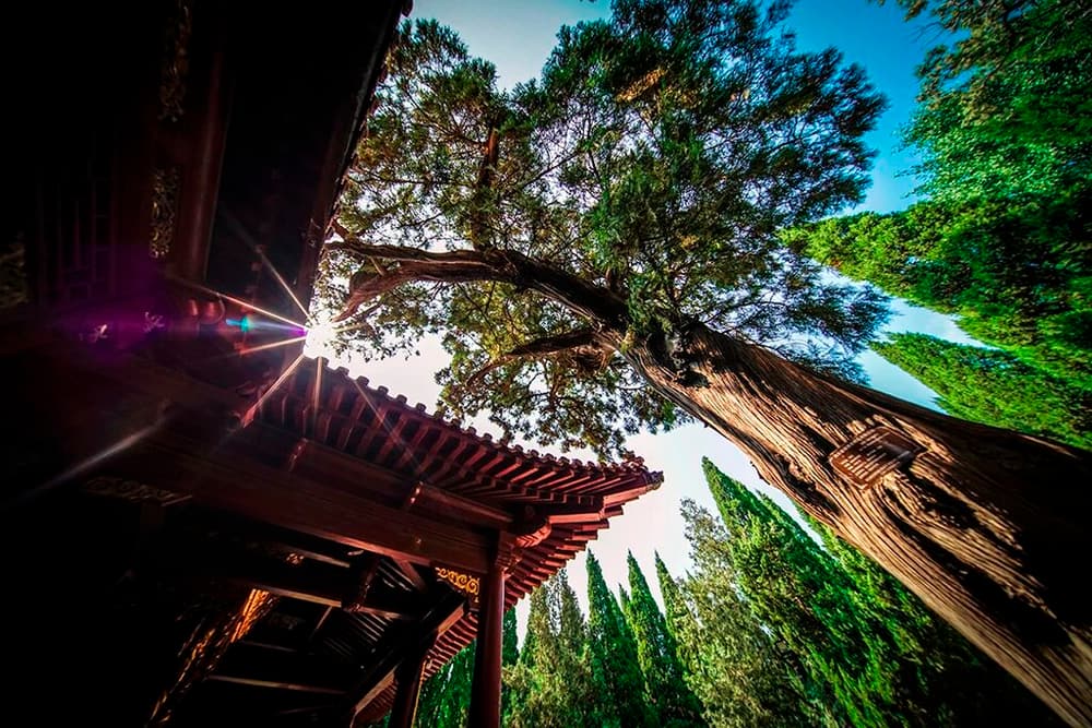 ӡ���ʦ����Ը�����