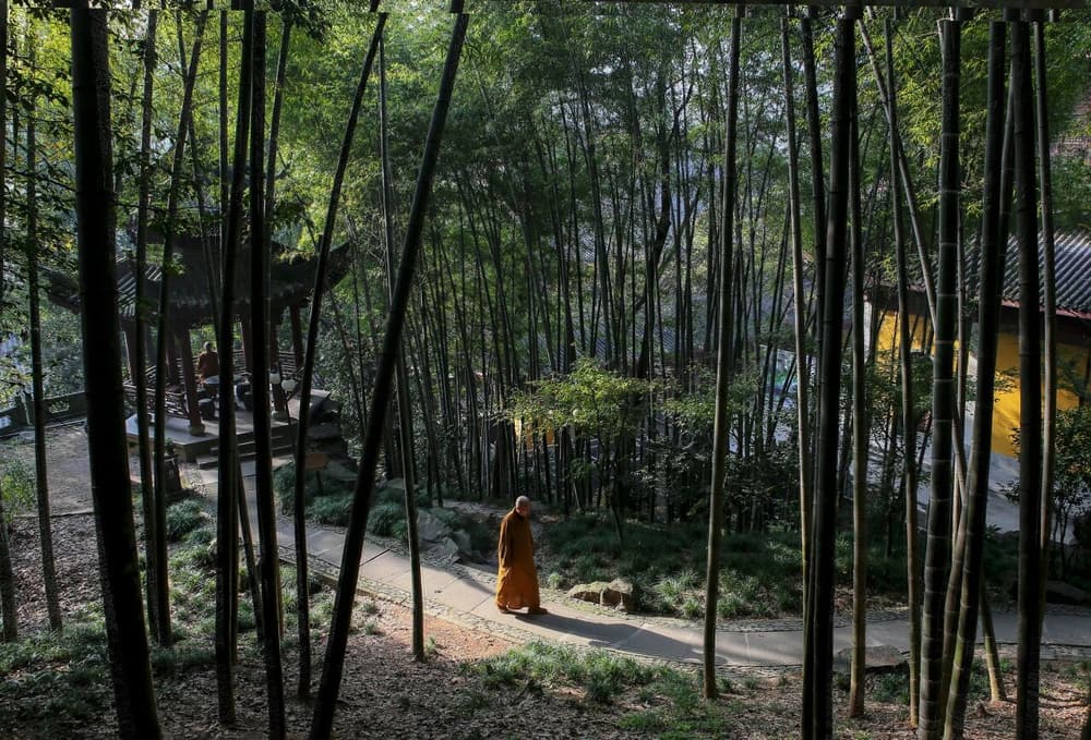 ���Ἲ�����ڣ����ж���