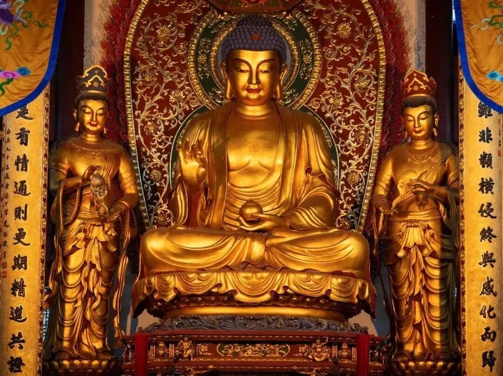 ũ������ʮ�塪���¹�����ʥ��