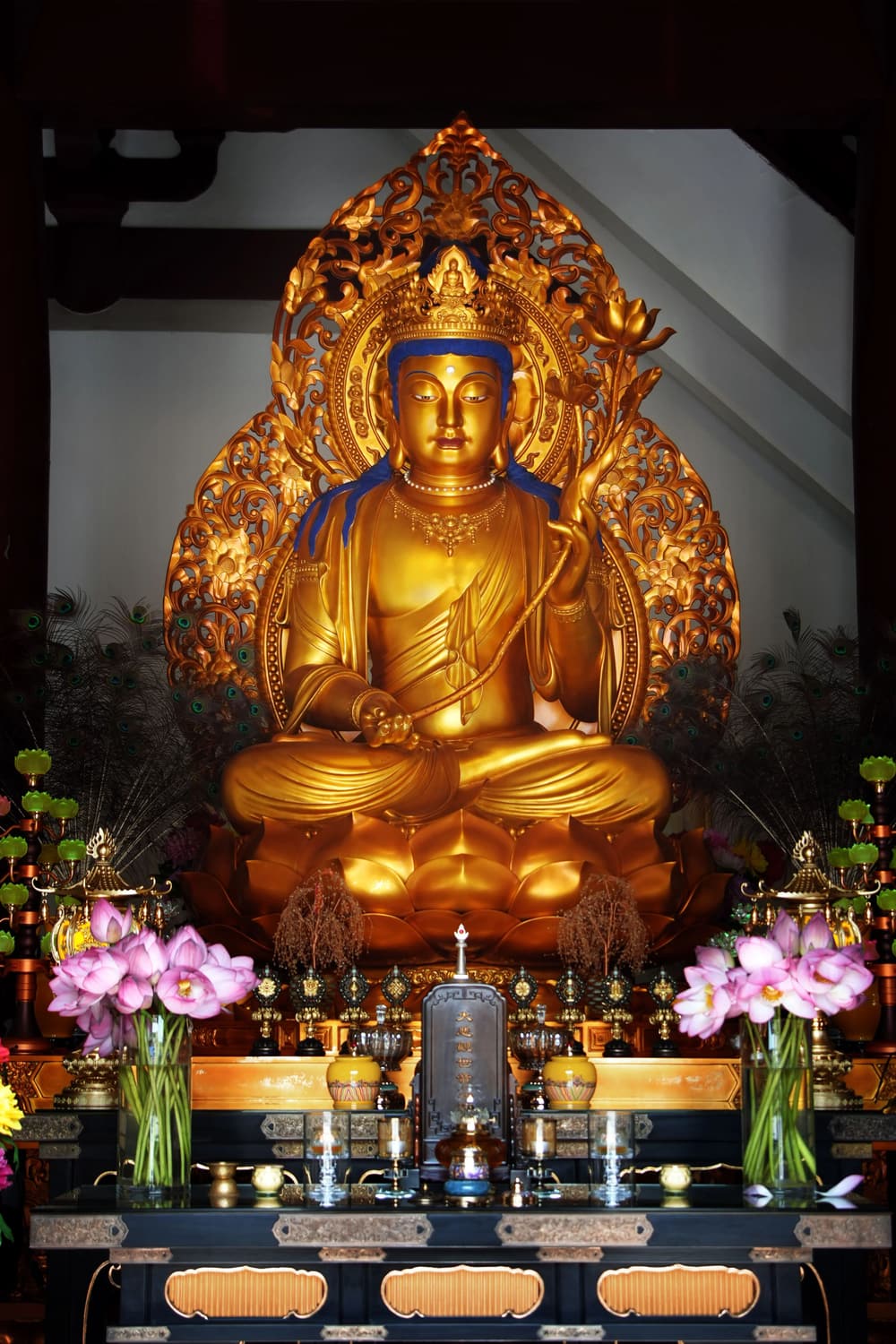 ���������ӷ�������Ĺ���������