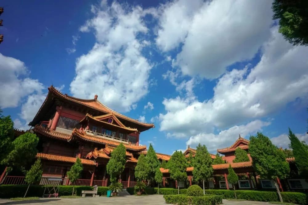 ɽ�Ӵ�ض�����������