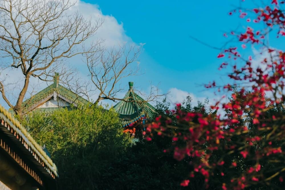 ����ü�����������ϳɹ�����