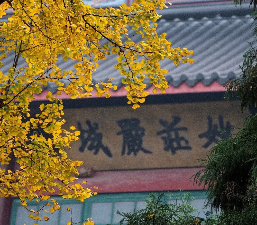 �����ӷ�ʥ������ϡ�У�Ҫ�ú���ϧ