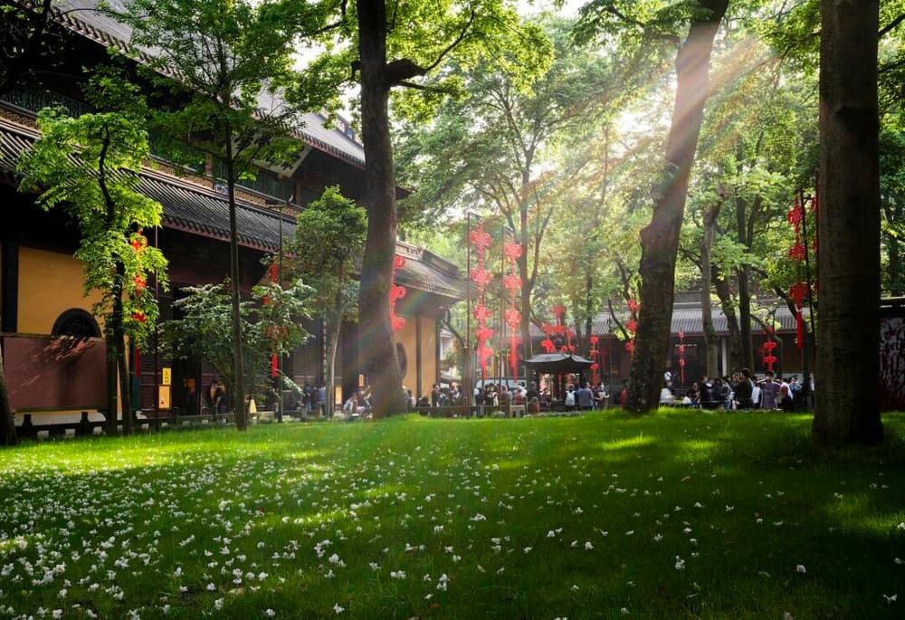 ɢ���ĺܿ��������ǵ���������