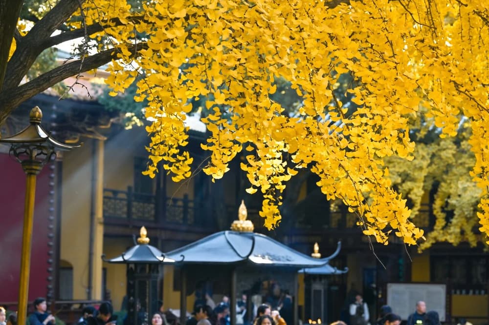 ���ǰ��������𣬶����ĳ����գ�������ת