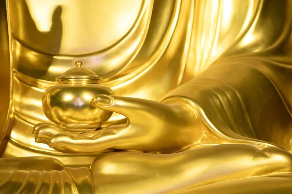 ��־��һ������¿���