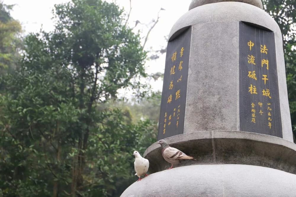 ������ҵ��������Ҫ������ǻ۹�