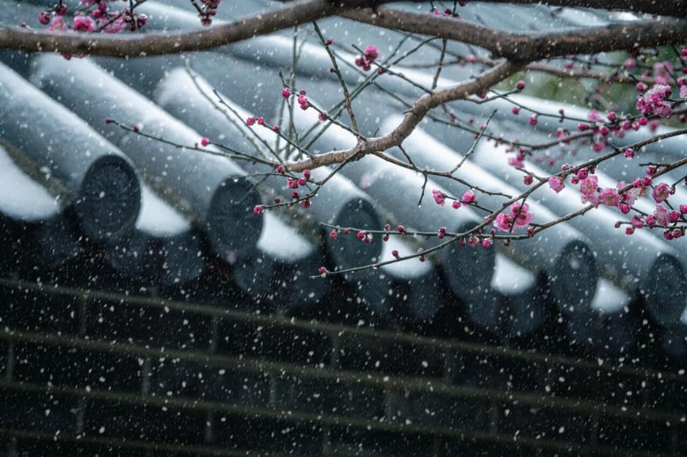 �������ˣ������˿����ǲ���