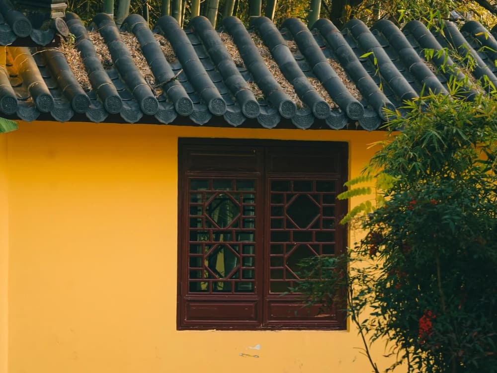 �Դ�������ä��ִ��