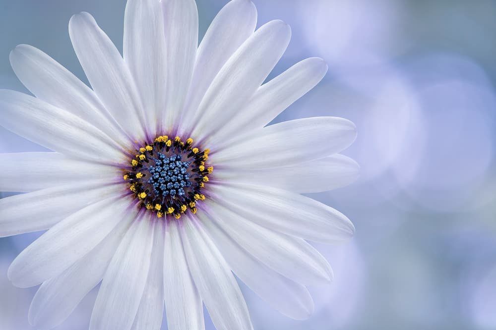 ��ֹ����̰������������գ������ֻ�