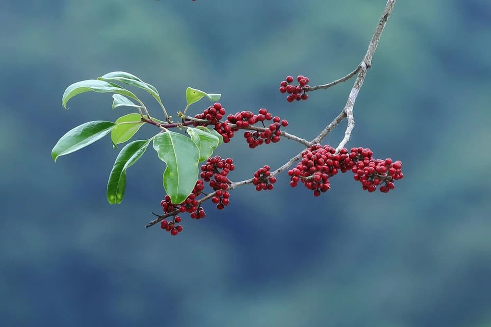 ��������һ�㲡�࣬һ��Ҫ��������