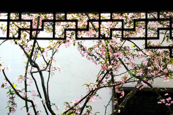佛灭度后,应将心安住四念处中