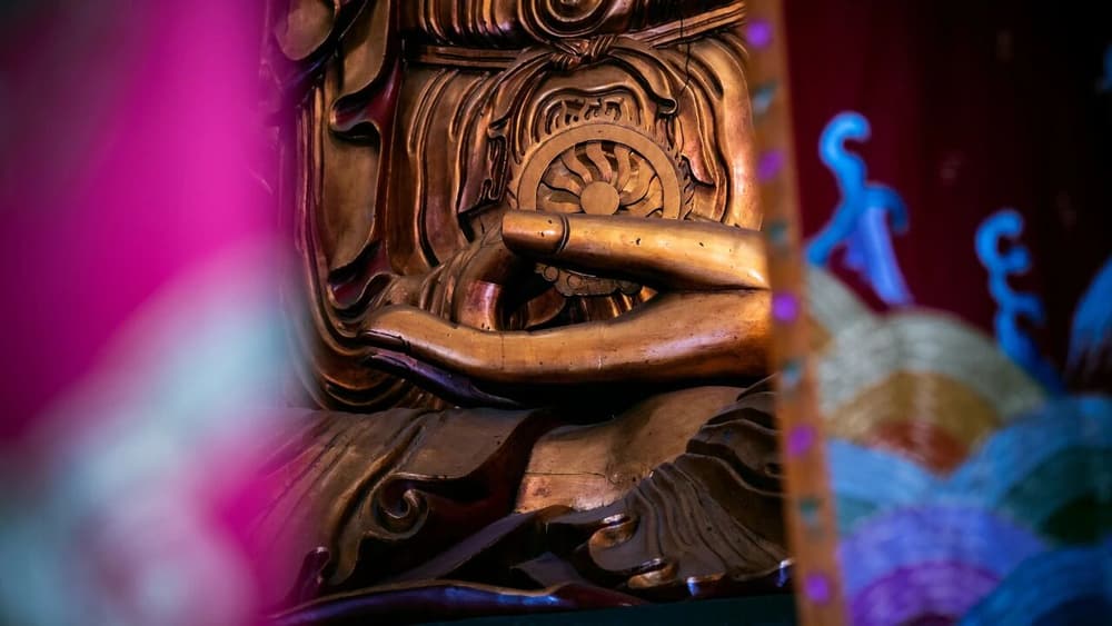 ���ѡ��롸��������������̫��Ҫ��