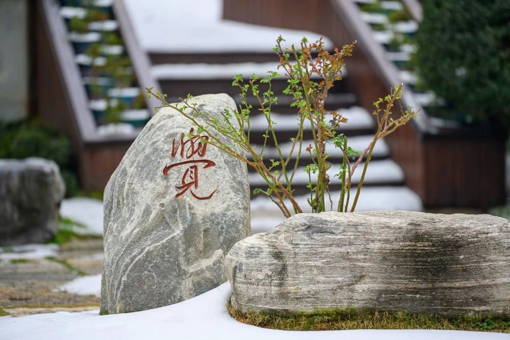 ��һ������������������