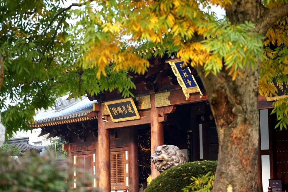 �����ħ֮��