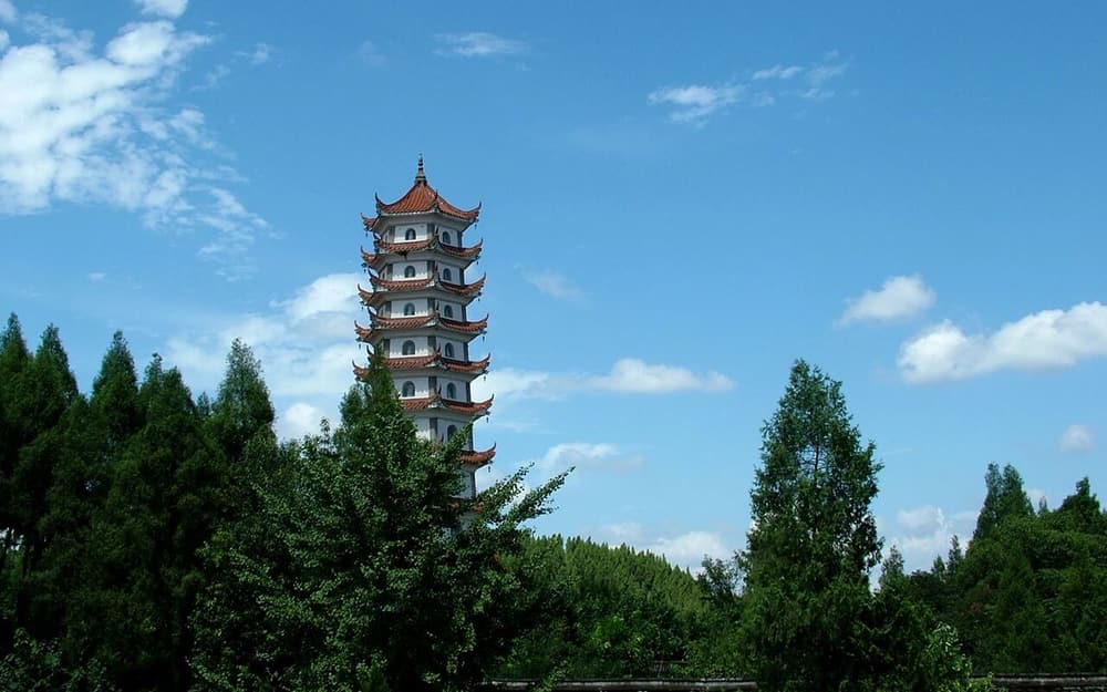 ���Ƕ���ѧ�����������������ϰ�