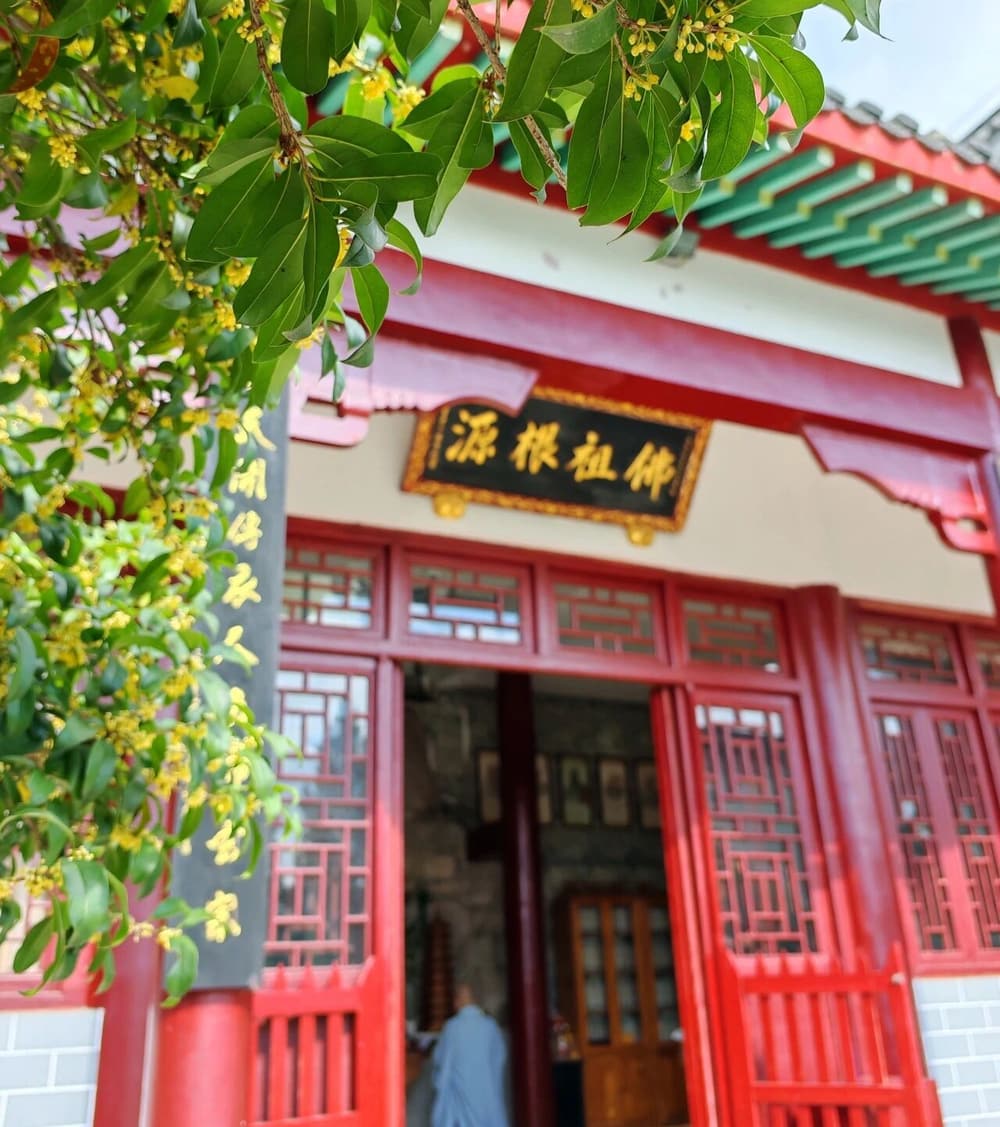 ��ʮ�������������о���