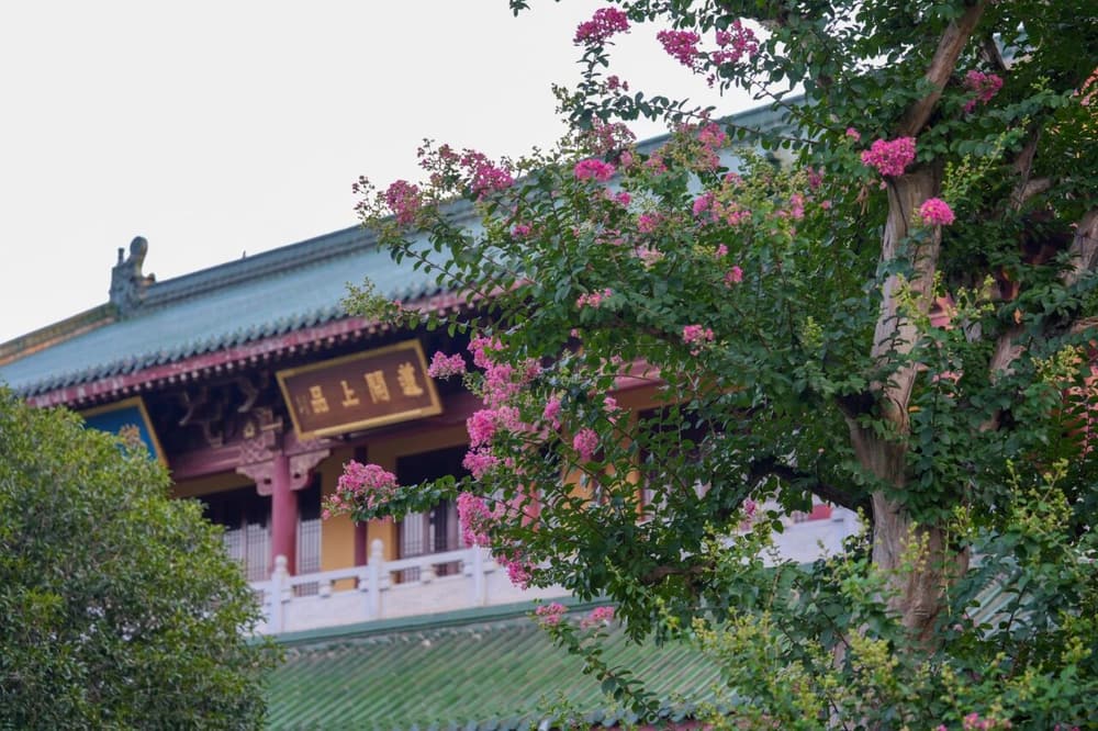 阿弥陀佛的诸佛称名赞叹愿